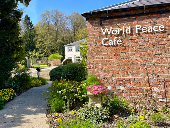 world peace cafe outside