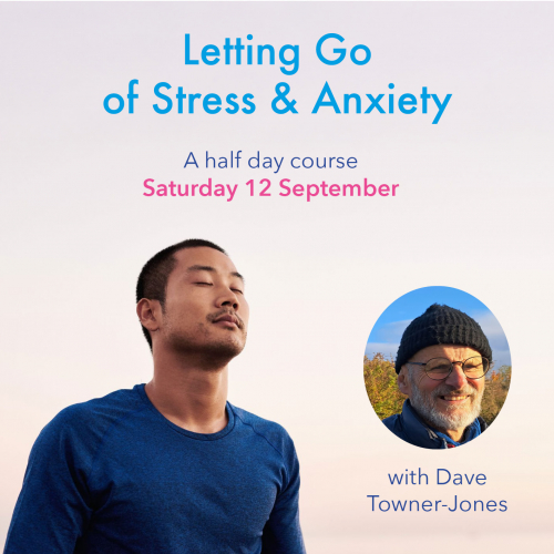 Stress & Anxiety copy sq Deve