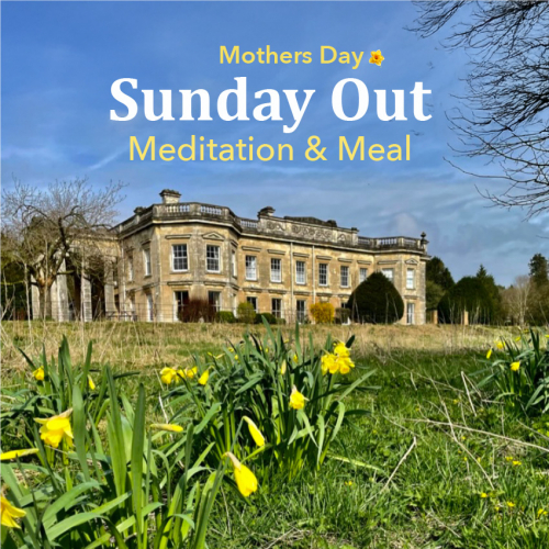 sunday out md 2 square